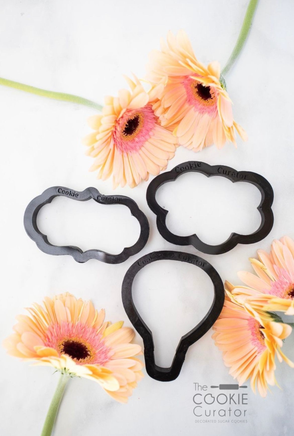 Come Fly with Me Cookie Class Set
