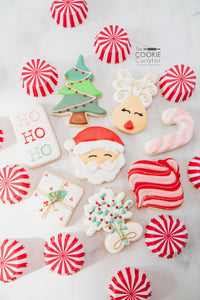 Santa's Coming Cookie Decorating Class - Sat 12/14